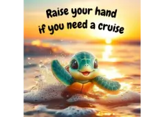 Do you Need a Cruise?