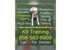 All Breeds K9 Training NY