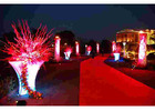 Jaipur Weddings- Affordable Destination Wedding in Jaipur