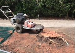 Stump Grinding Avalon