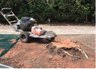 Stump Grinding Avalon