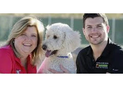 Dog Trainer in Phoenix AZ