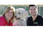 Dog Trainer in Phoenix AZ