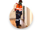 Termite Control Newcastle