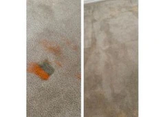 Transform Your Home With Professional Carpet Steam Cleaning