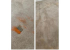 Transform Your Home With Professional Carpet Steam Cleaning