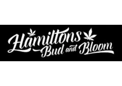 Hamiltons Bud And Bloom