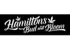 Hamiltons Bud And Bloom