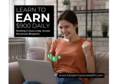 Discover the Secret to Earning Online—No Experience Needed!