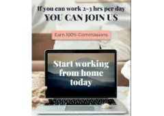 Transform Your Life: Make $10k/Month Working Only 2 Hours a Day!